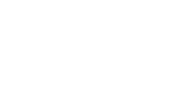 L&S Consulting